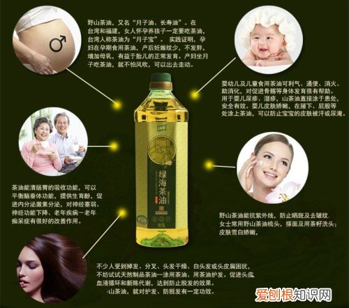油茶果能吃吗 茶油有哪些用途