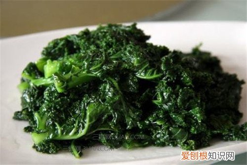 橄榄菜是什么 橄榄菜怎么制作