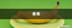 坏掉的香蕉可以做花肥吗 家里的花“吃”了香蕉皮之后疯长，以后都不用出门买肥料了！