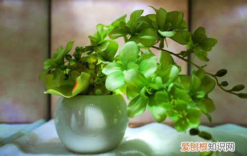 代表友谊的花有哪些朋友生日送几朵花合适
