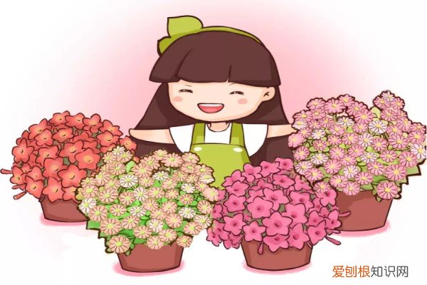 换盆不修根,等于白换,想爆盆更是做梦!