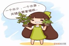 养不死的花有哪几种 记住1句话，这10种花想养死都难！