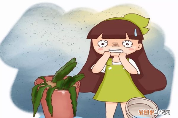 淘米水不能浇什么花 淘米水乱浇花，跟毒药一样，养1盆死1盆！