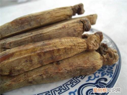 高丽参和红参的区别是什么 高丽参和红参哪个好