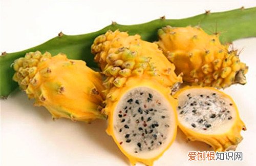 仙人掌果怎么吃吃仙人掌果有什么好处