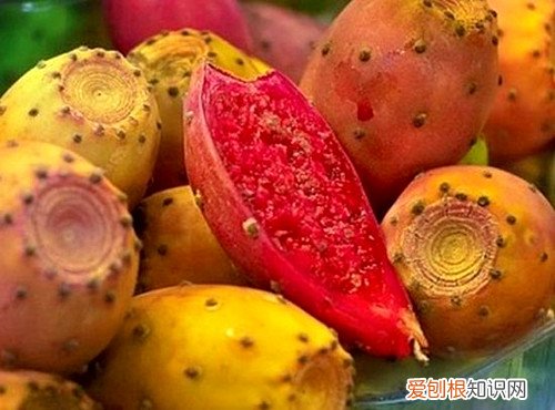 仙人掌果怎么吃吃仙人掌果有什么好处