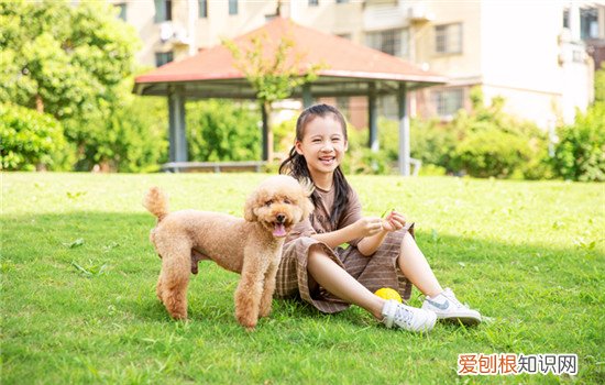 狗狗真菌会传染人吗 狗狗真菌可能会传染人