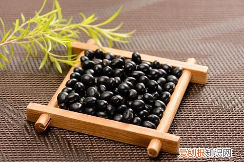 黑豆和黑芸豆的区别黑豆与黑芸豆哪个更有营养