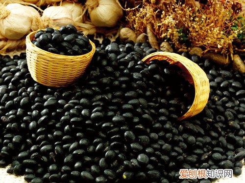 黑豆和黑芸豆的区别黑豆与黑芸豆哪个更有营养