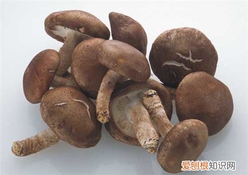 花菇与香菇的区别 两者哪个营养值高