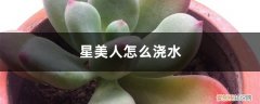 星美人怎么养护 星美人怎么浇水