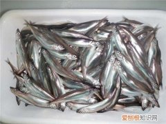 多春鱼产地哪里丰富 多春鱼的食用大全