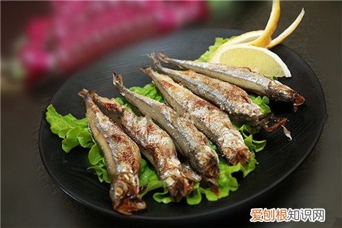 多春鱼产地哪里丰富 多春鱼的食用大全