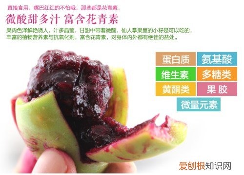 仙人掌果多少钱一斤 食用仙人掌果有哪些功效与作用