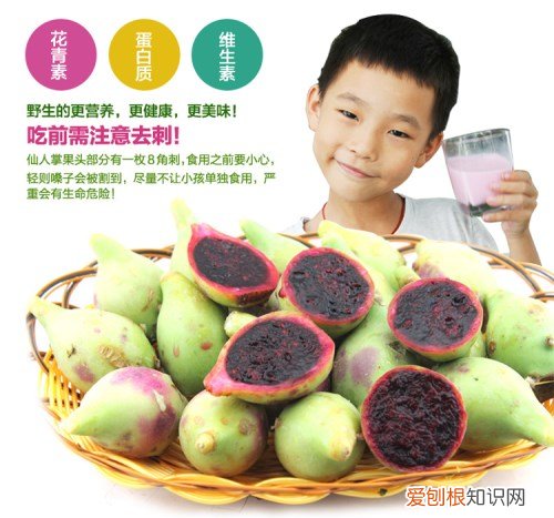 仙人掌果多少钱一斤 食用仙人掌果有哪些功效与作用