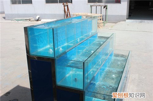 海鲜鱼缸是干什么用的 四种鱼缸设计简介