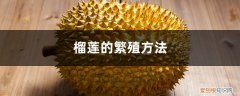榴莲的繁殖方法如下 榴莲的繁殖方法