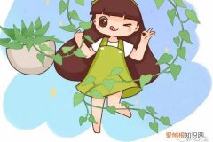 绿萝的根系太多可以把它剪断吗 用了这3招，绿萝疯长100米，截断能插100盆！