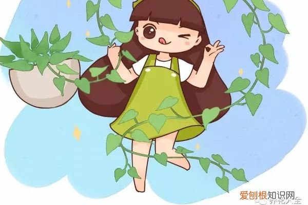 绿萝的根系太多可以把它剪断吗 用了这3招，绿萝疯长100米，截断能插100盆！