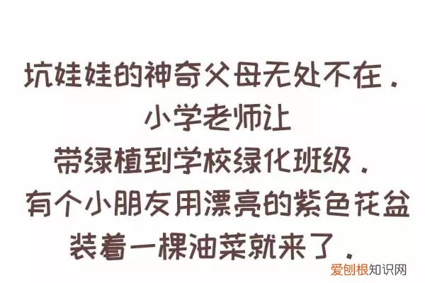 平平无奇的养花小天才 一家人都是养花奇才，是种怎样的体验？