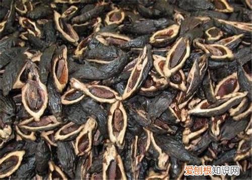 槟榔危害是什么 女生吃槟榔的危害