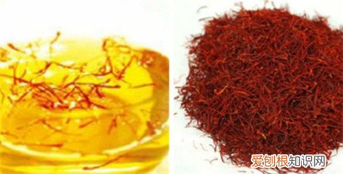 红花茶有美容功效吗 红花茶的饮用禁忌