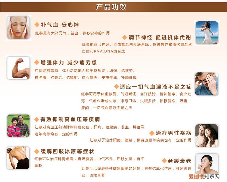 新开河红参的功效 食用新开河参有哪些禁忌
