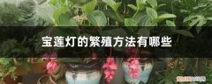 宝莲灯人工繁殖 宝莲灯的繁殖方法有哪些