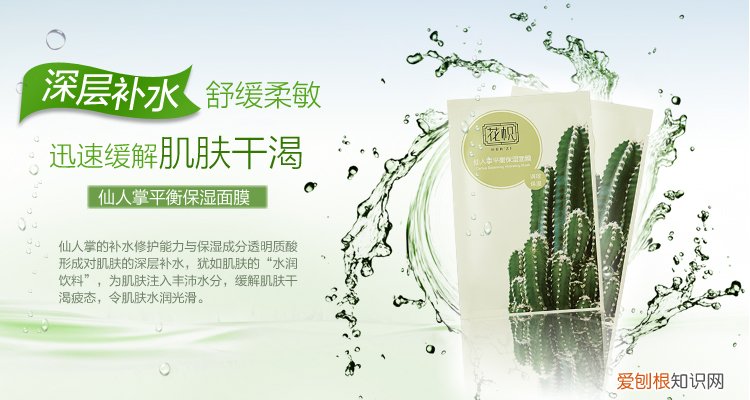 仙人掌可以做面膜吗 仙人掌面膜的作用有哪些