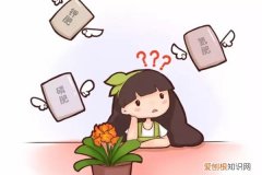 不用总浇水的花 养花光知道浇水，那你的花离死不远了