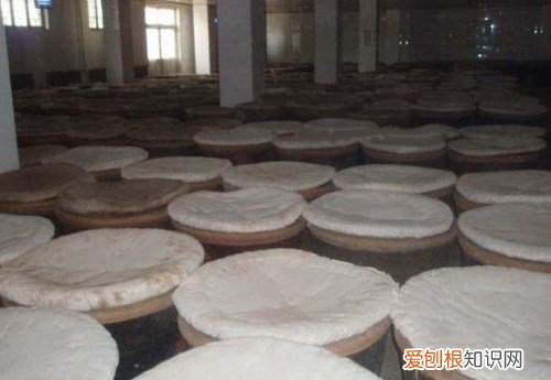 米醋是什么 制作米醋的方法是怎样的