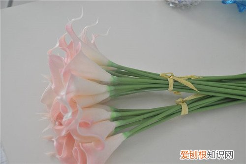 马蹄莲花介绍 误食马蹄莲怎么办