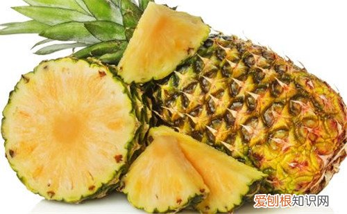 凤梨与菠萝的区别是什么 凤梨和菠萝有哪些营养价值