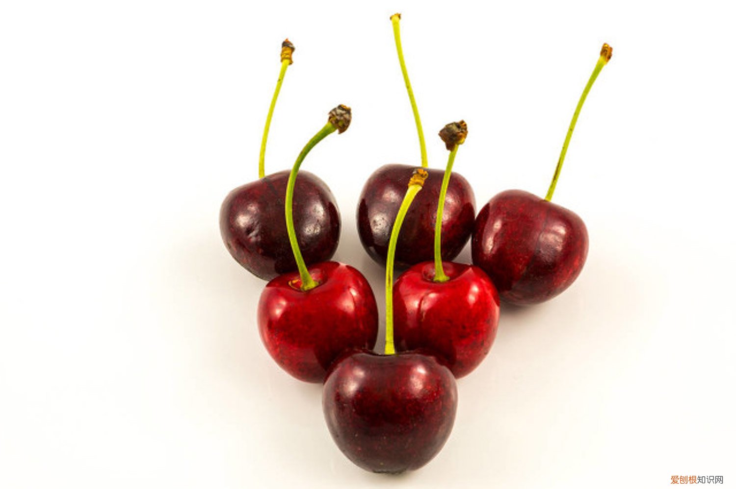 樱桃黄叶怎么办 樱桃黄叶的原因和处理办法