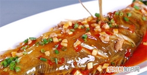丁桂鱼的做法哪种比较好吃 丁桂鱼多少钱一斤