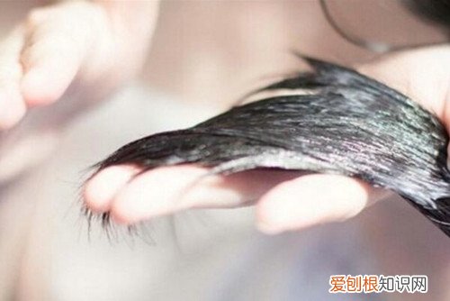 用什么醋洗头比较好 用醋洗头的好处