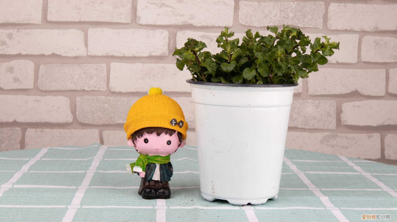 薄荷黄叶怎么回事 薄荷黄叶的原因和处理办法