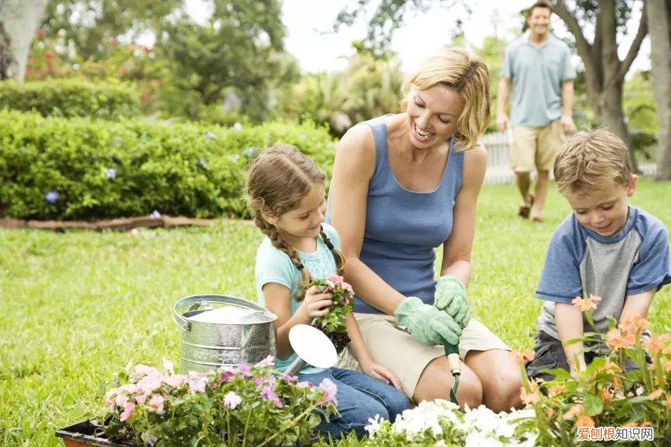 老年人种菜养花有什么好处，养花种菜原来有这么多好处 减压、减肥、扩大社交圈、防痴呆