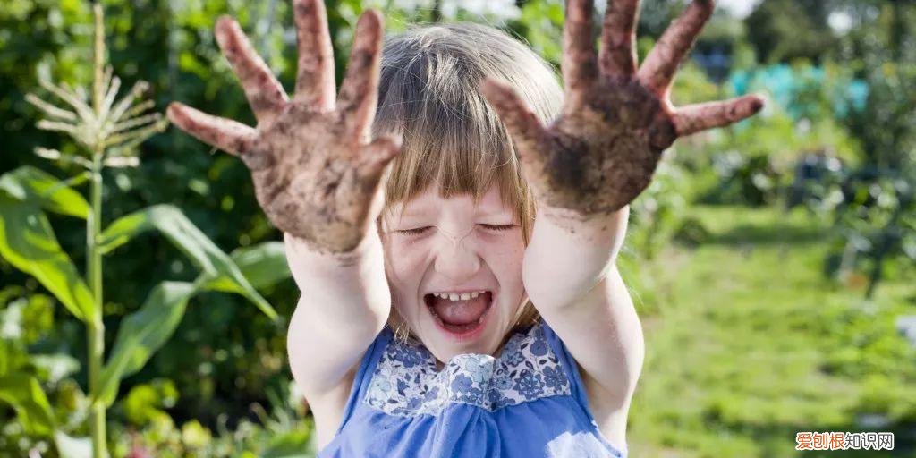 老年人种菜养花有什么好处，养花种菜原来有这么多好处 减压、减肥、扩大社交圈、防痴呆