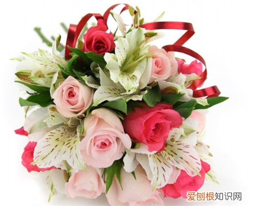 一束玫瑰花多少钱 一束玫瑰花一般是几朵