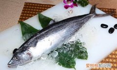 马鲛鱼的营养价值有哪些马鲛鱼怎样吃更有营养