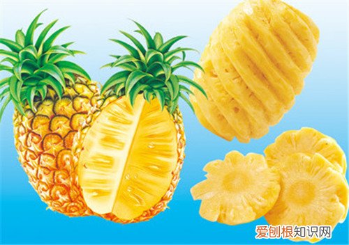 凤梨是菠萝吗 凤梨与菠萝哪个更好吃