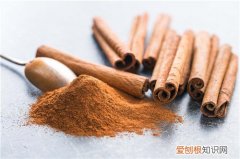 桂皮是什么 桂皮的食用方法