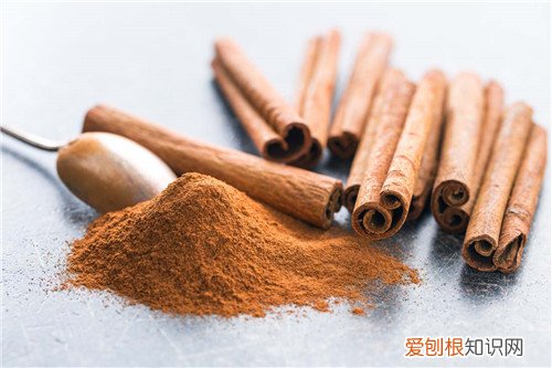 桂皮是什么 桂皮的食用方法
