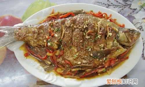 淡水鱼的做法 淡水鱼菜谱大全
