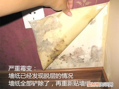 墙纸发霉是什么原因 墙纸发霉怎么办