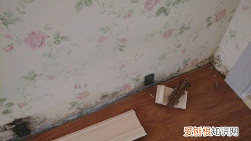 墙纸发霉是什么原因 墙纸发霉怎么办