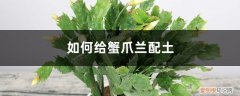 如何给蟹爪兰配土,喜欢酸性土壤还是碱性土壤 如何给蟹爪兰配土，喜欢酸性土壤还是碱性土壤