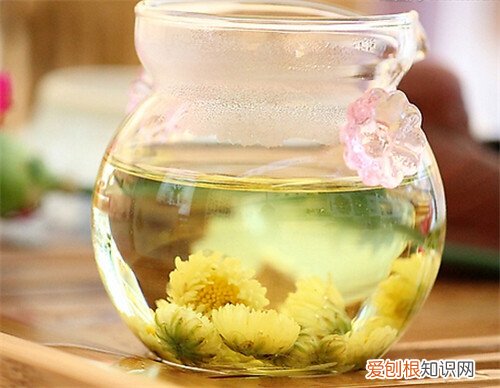 黄菊花茶的功效与作用 哪些人不能喝菊花茶