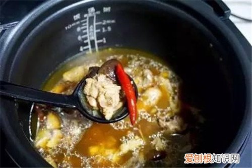 电压力锅炖鸡教程 炖鸡加什么料入味